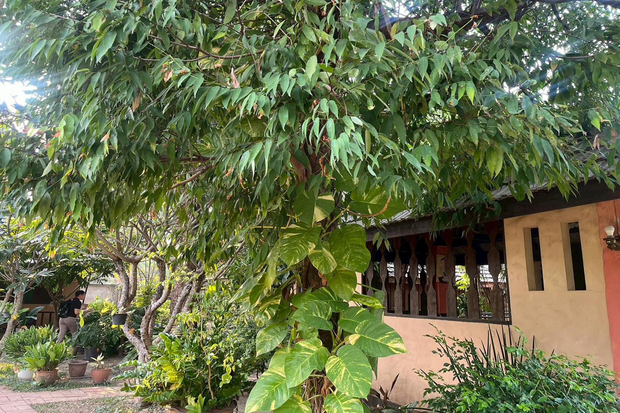 The Royal Shilton Resort Τσιάνγκ Μάι Εξωτερικό φωτογραφία